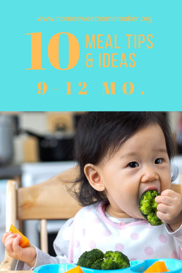 meal solids ideas for 9 10 11 12 month old babies kids children nine ten eleven twelve what to feed sample feeding schedule how much formula tips what can they eat